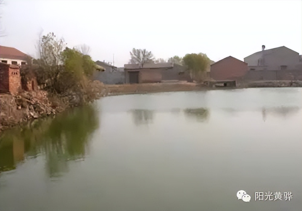 沧州东乡记忆——故乡的水塘