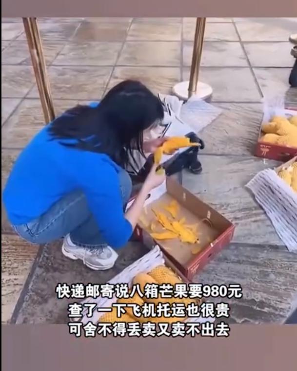 托运费太贵吃8箱芒果,机场托运太贵怒吃八箱芒果
