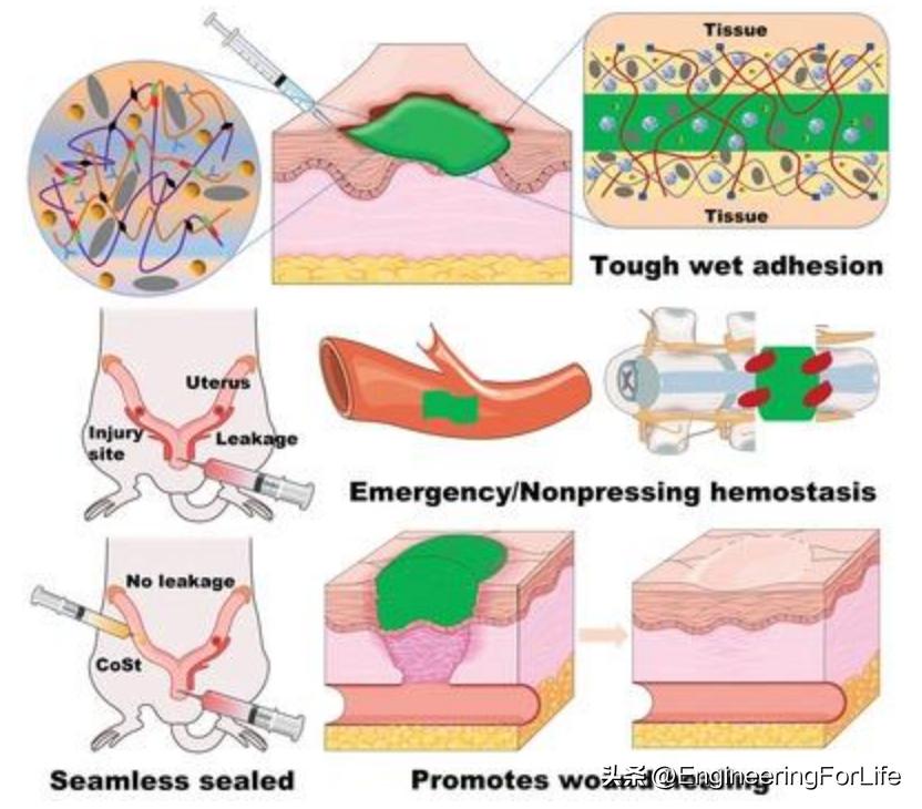 水凝胶微球国内有吗,高分子微球水凝胶