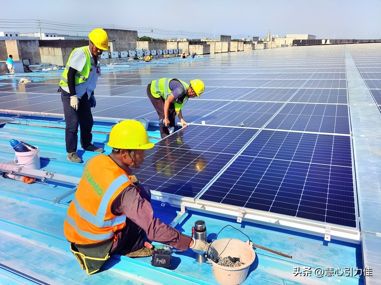 靠晒太阳躺赚上万农民被骗,靠晒太阳躺赚坑了无数人