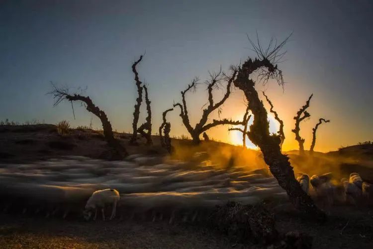 内蒙奈曼旗宝古图沙漠摄影,内蒙古古祭敖包