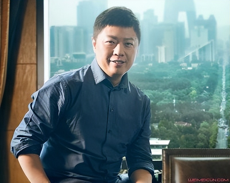 企业家王冉结过几次婚,资本大鳄王冉娶童瑶