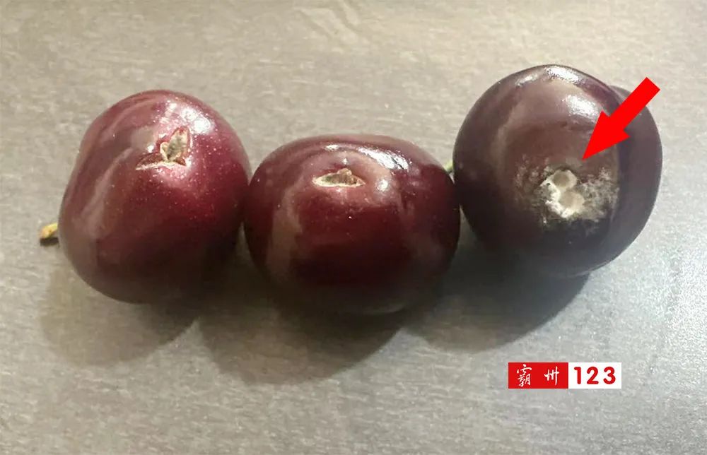 霸州樱桃“刺客”！80多只买了10颗樱桃？！