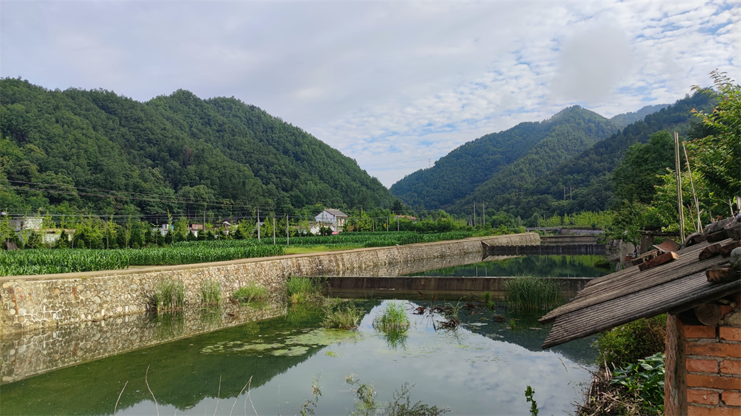 秦岭山里商洛人,秦岭商洛大山里