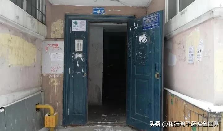 大学生打工实践报告,大学生打工纪实片