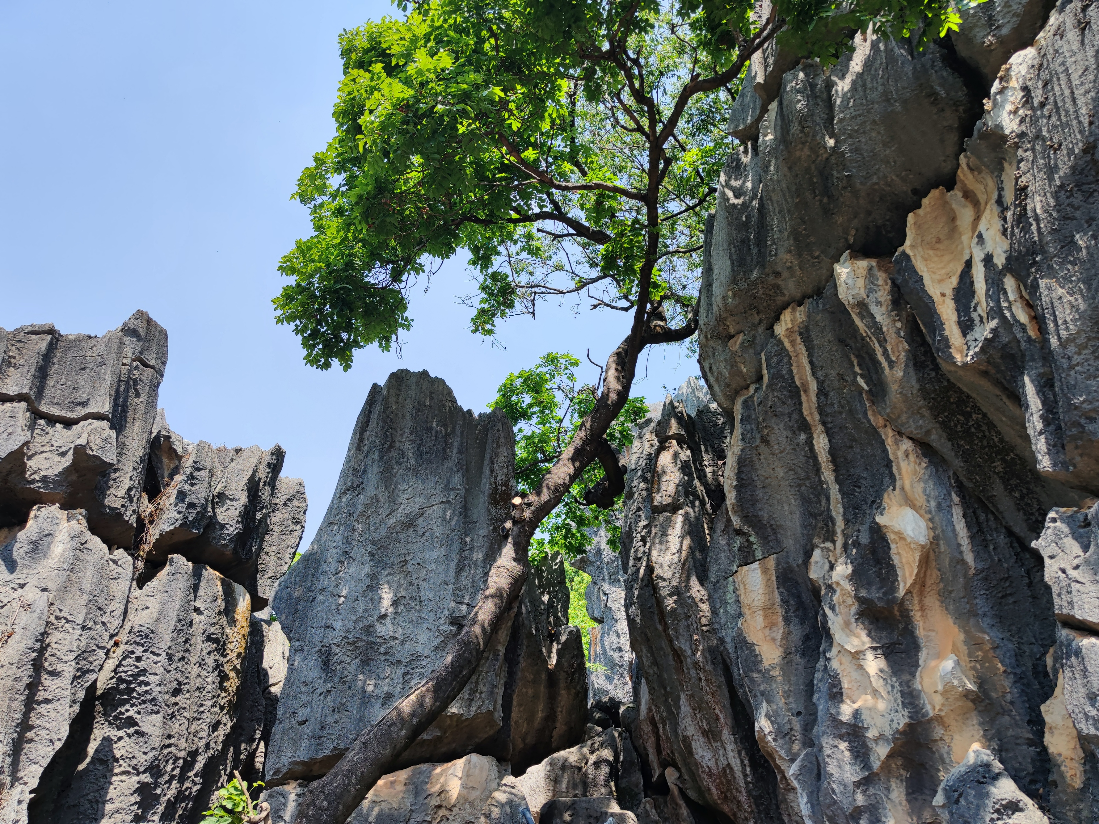 云南石林旅游必去的地方,云南石林可以游玩的地方