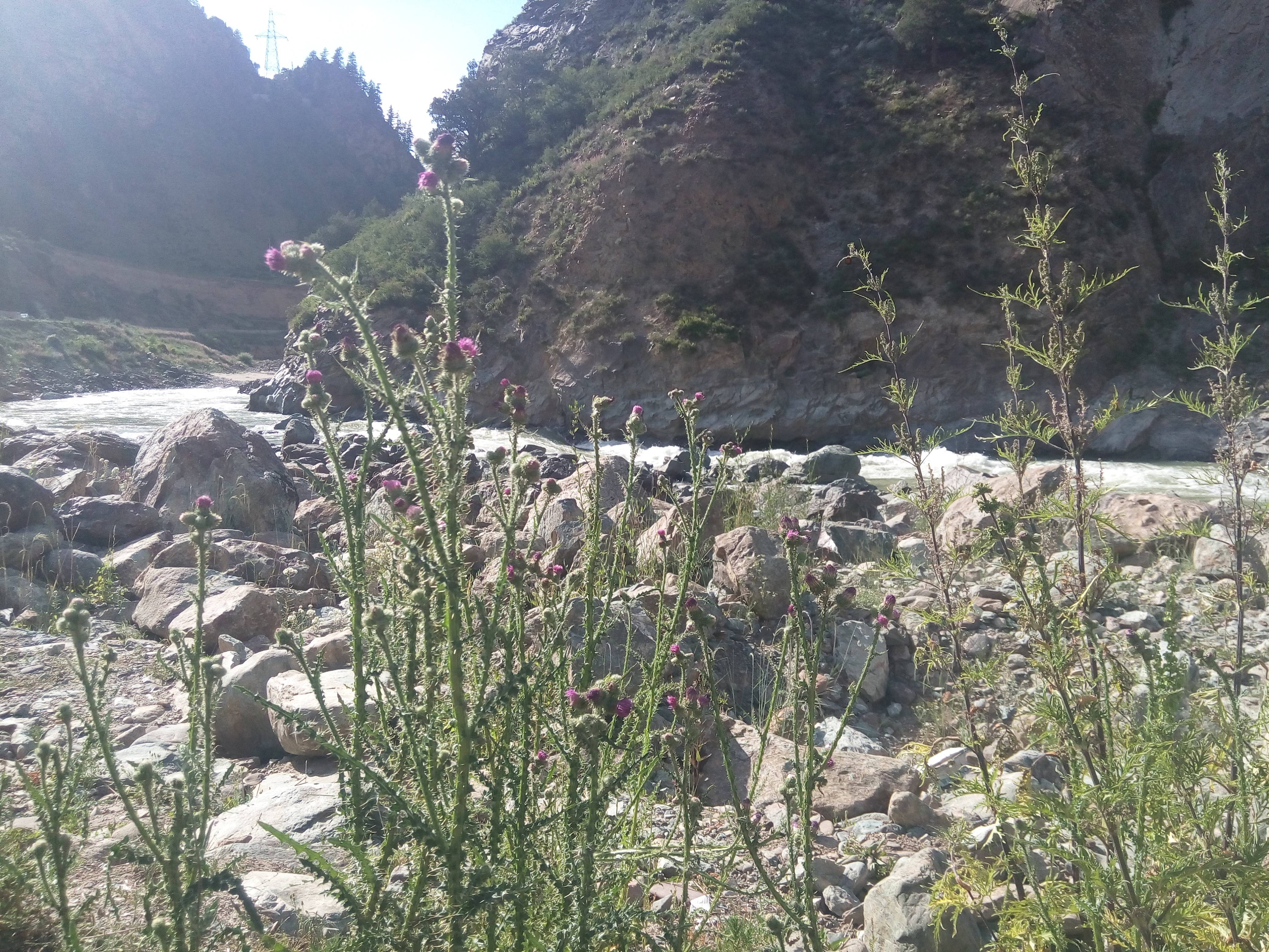 梦境日记,梦境观察笔记