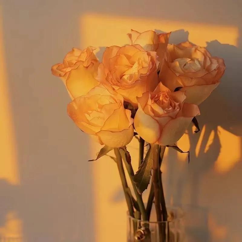 适合做个性签名的经典语句有哪些,适合写微信个性签名的句子