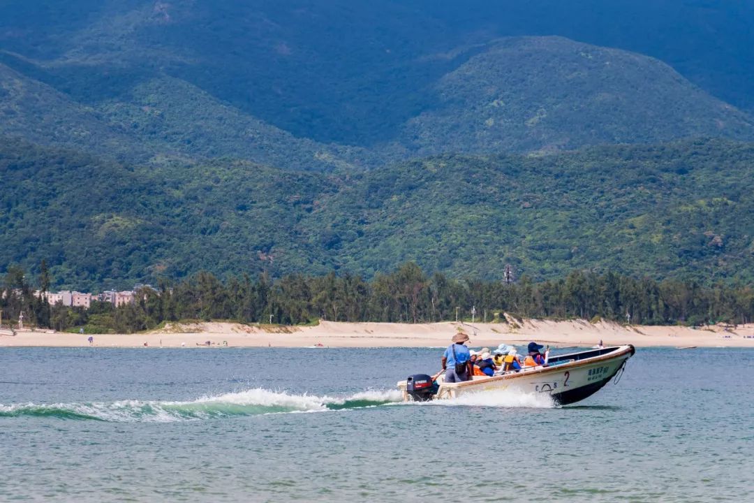 深圳十条景美徒步路线推荐,深圳水库徒步路线图