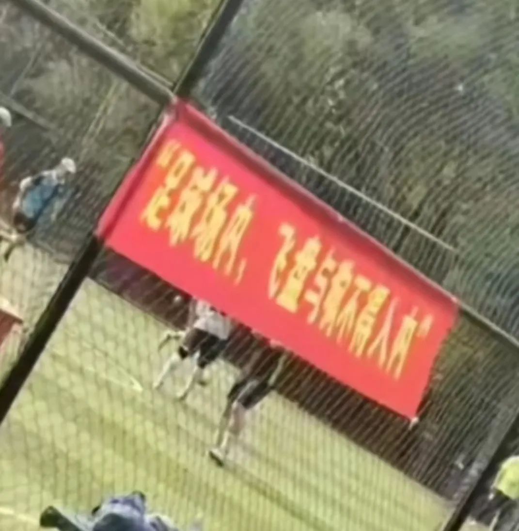 足球场和飞盘冲突,足球场禁止飞盘和狗入内