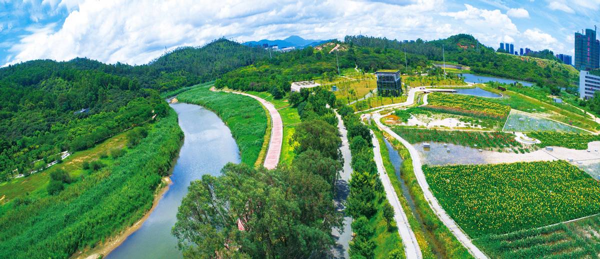 多元共治生态治理模式,多元共治的生态治理模式