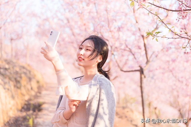 《*今条头日**》上各种玩法你都玩过吗？