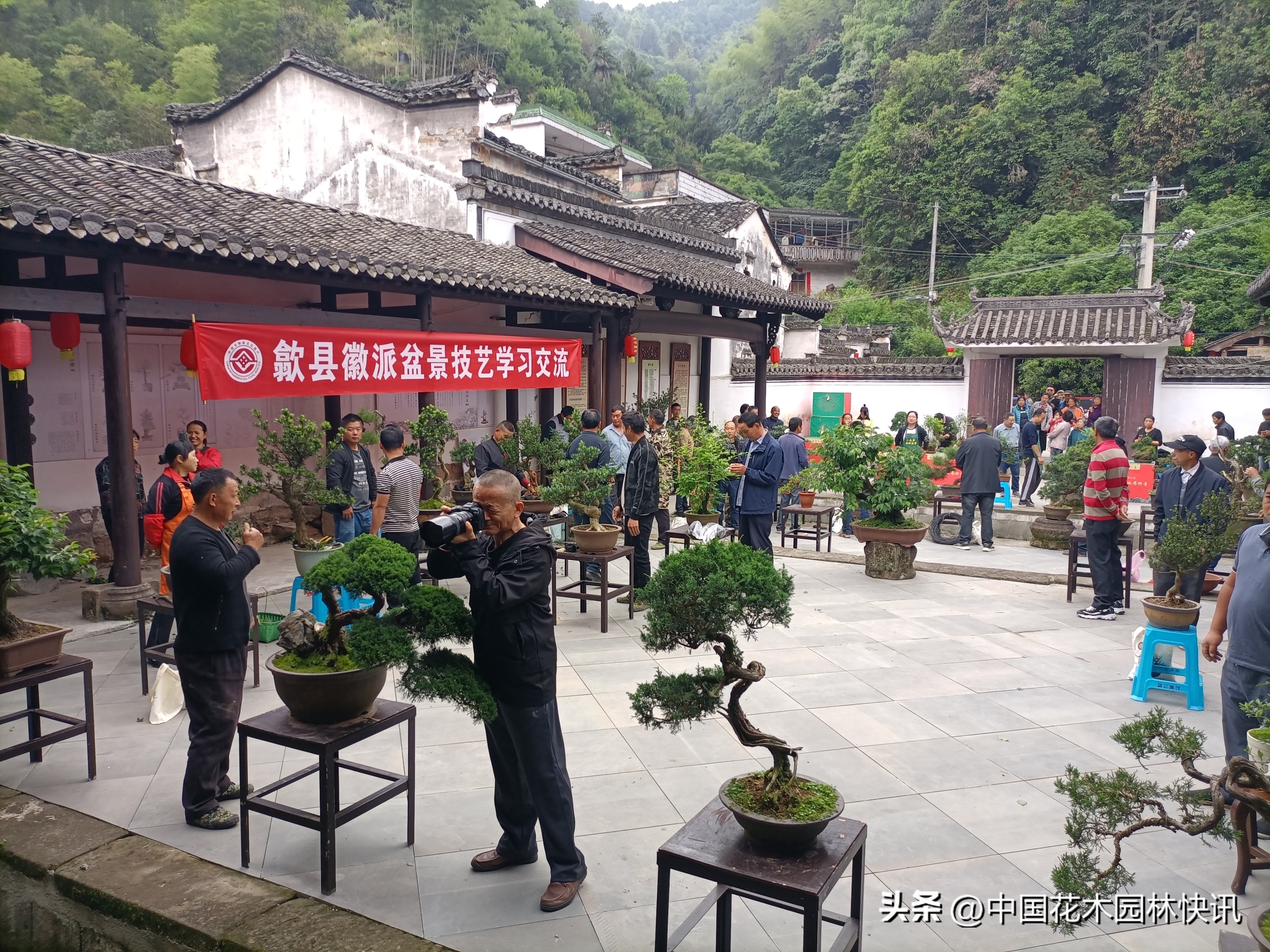 徽派盆景技艺培训班,川派盆景技艺传承