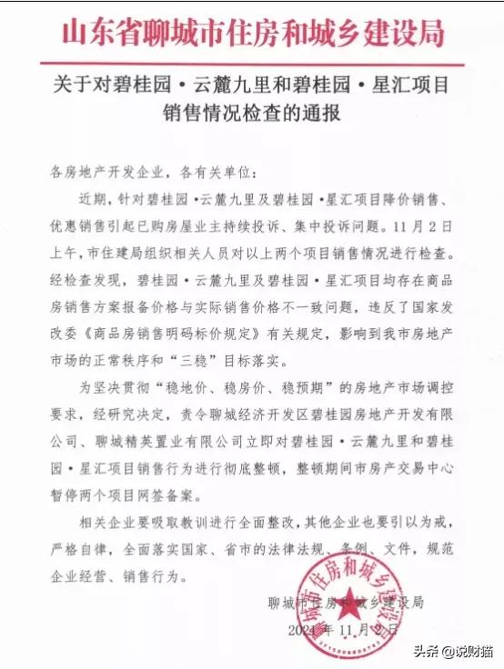 碧桂园降价风险大不,楼盘降价业主称一夜损失50万