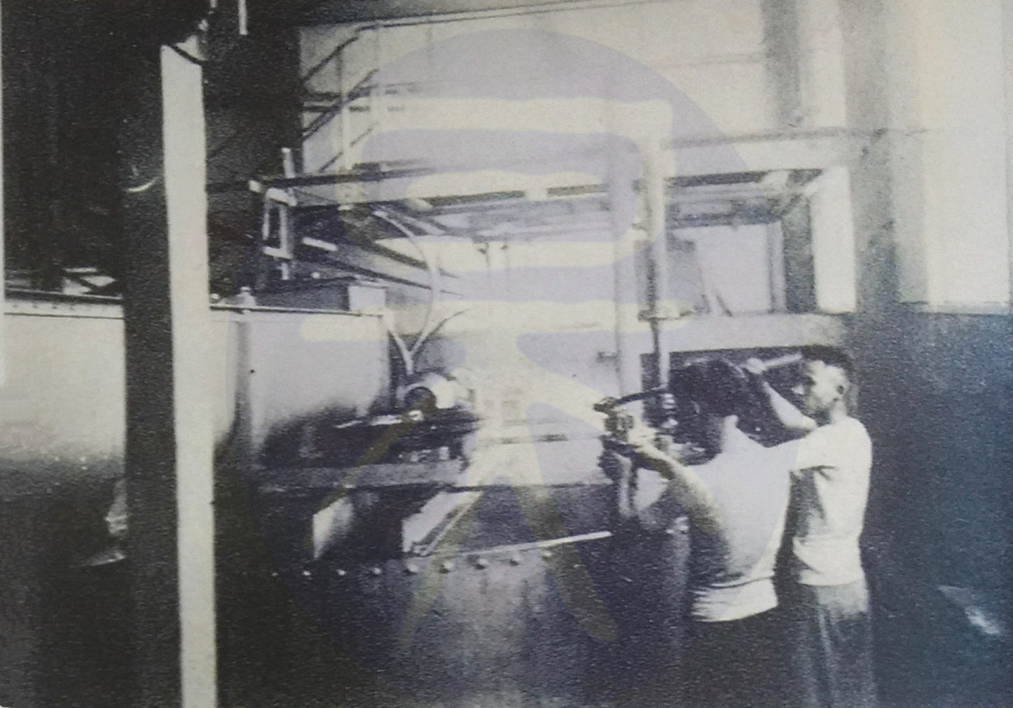 中国制糖业历史,上一世纪五十年代广东十大糖厂