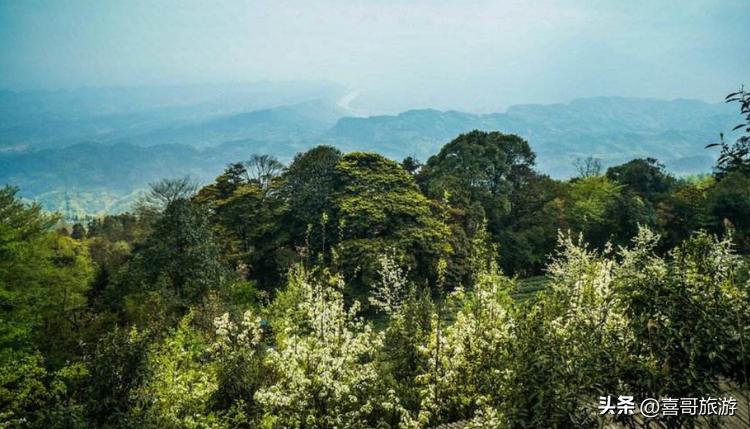 雅安旅游攻略自驾游景点推荐,四川雅安旅游景点攻略大全图