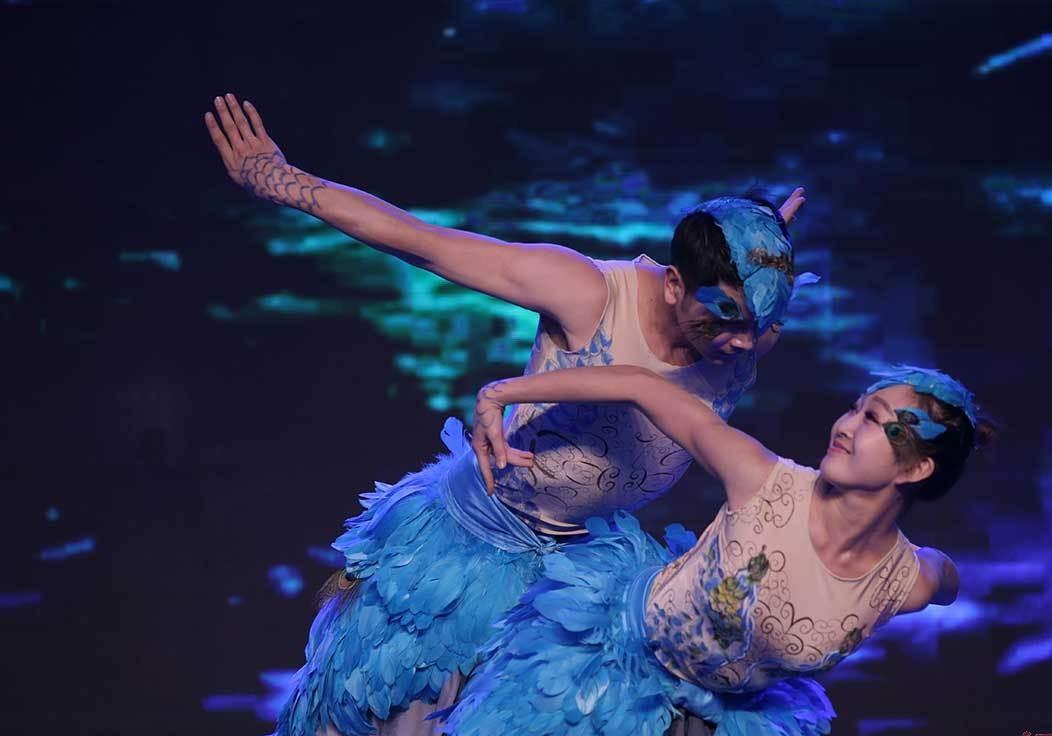 杨丽萍表演再度引争议男舞者,杨丽萍舞蹈被指不雅