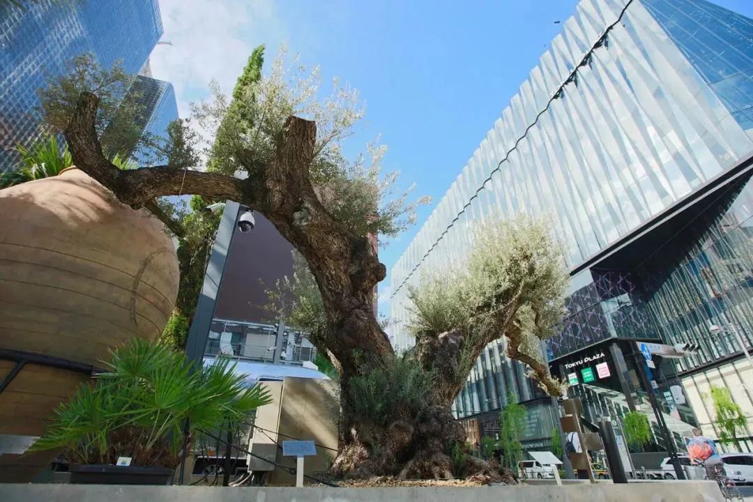 公园商业中心设计,公园创意商业街区空间设计