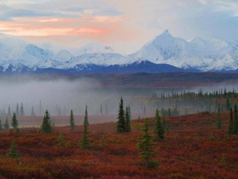 美国的旅游经济发展模式,全球旅游电子商务发展概况