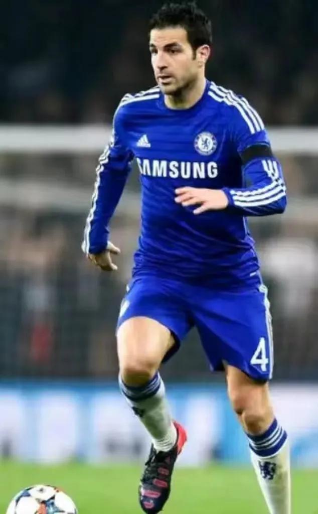 塞斯克法布雷加斯,弗朗塞斯克法布雷加斯