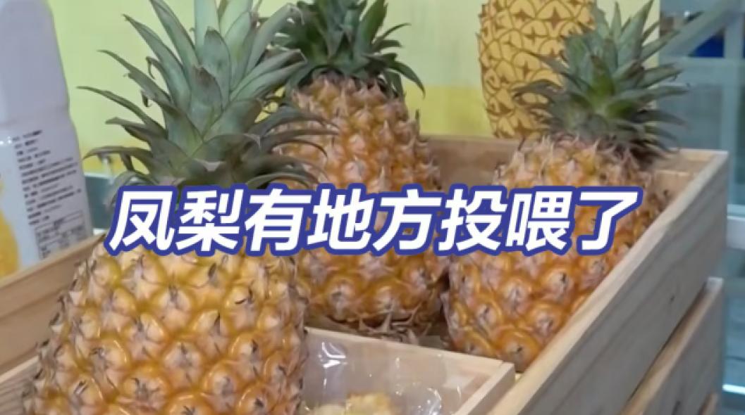 班班吃凤梨？台湾菠萝被日本拒收，台官方竟强行投喂全岛中小学