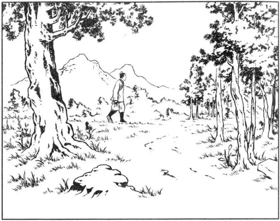 民间故事门前一棵桑,民间故事精选山茶花