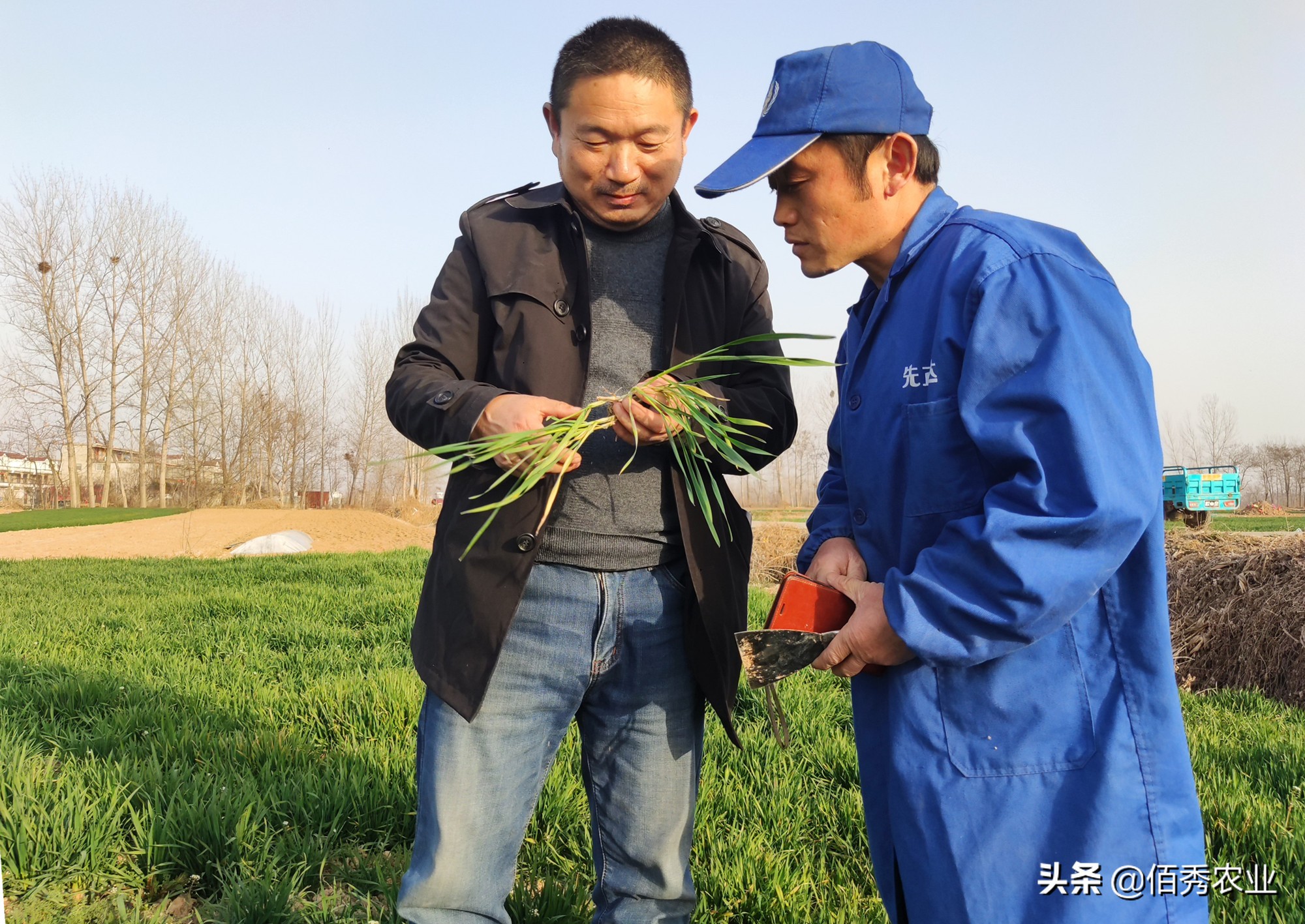 化肥价格上涨农户成本增加,肥料价格上涨农民怎么办