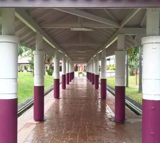 在新加坡生活两年有什么变化,新加坡的真实生活感受