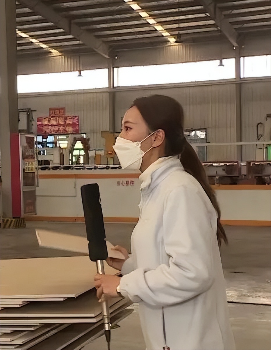 泰山石膏陕西建材有限公司,泰山石膏甘肃有限公司