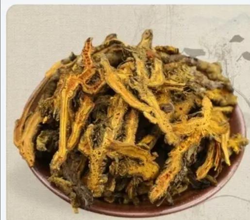 每日一味中药川贝母,每日一方黄连汤