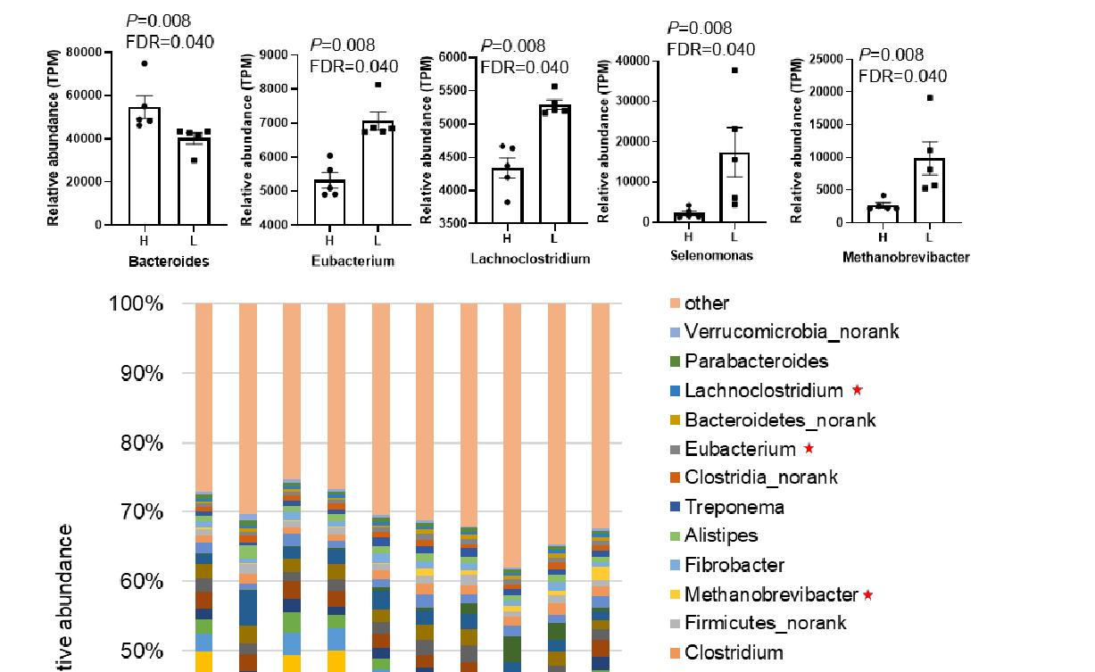 浅析高低比例棉籽壳饲粮对多浪羊消化代谢及微生物区系的影响