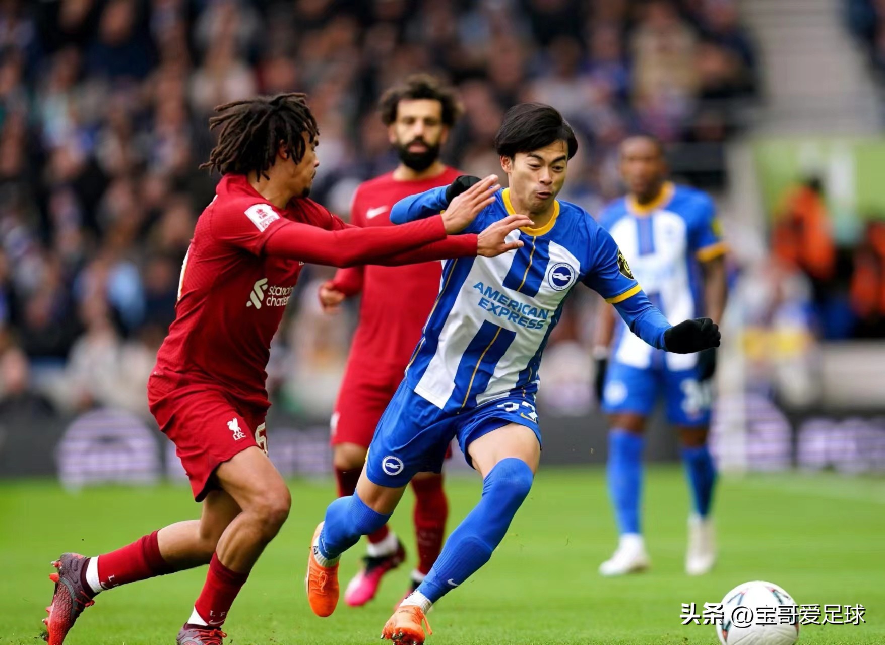 三笘熏踩着阿诺德成名,三度打爆利物浦太子,“三球王”名副其实