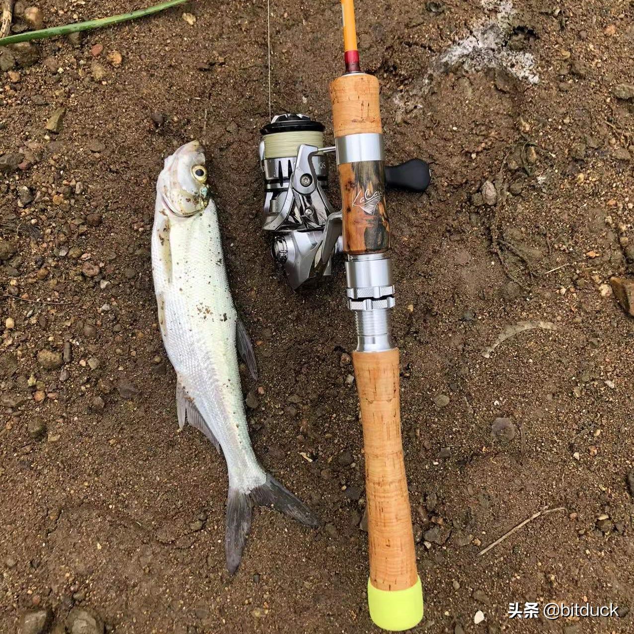 路亚微物装备搭配入门攻略,路亚微物钓鱼最重要的是什么