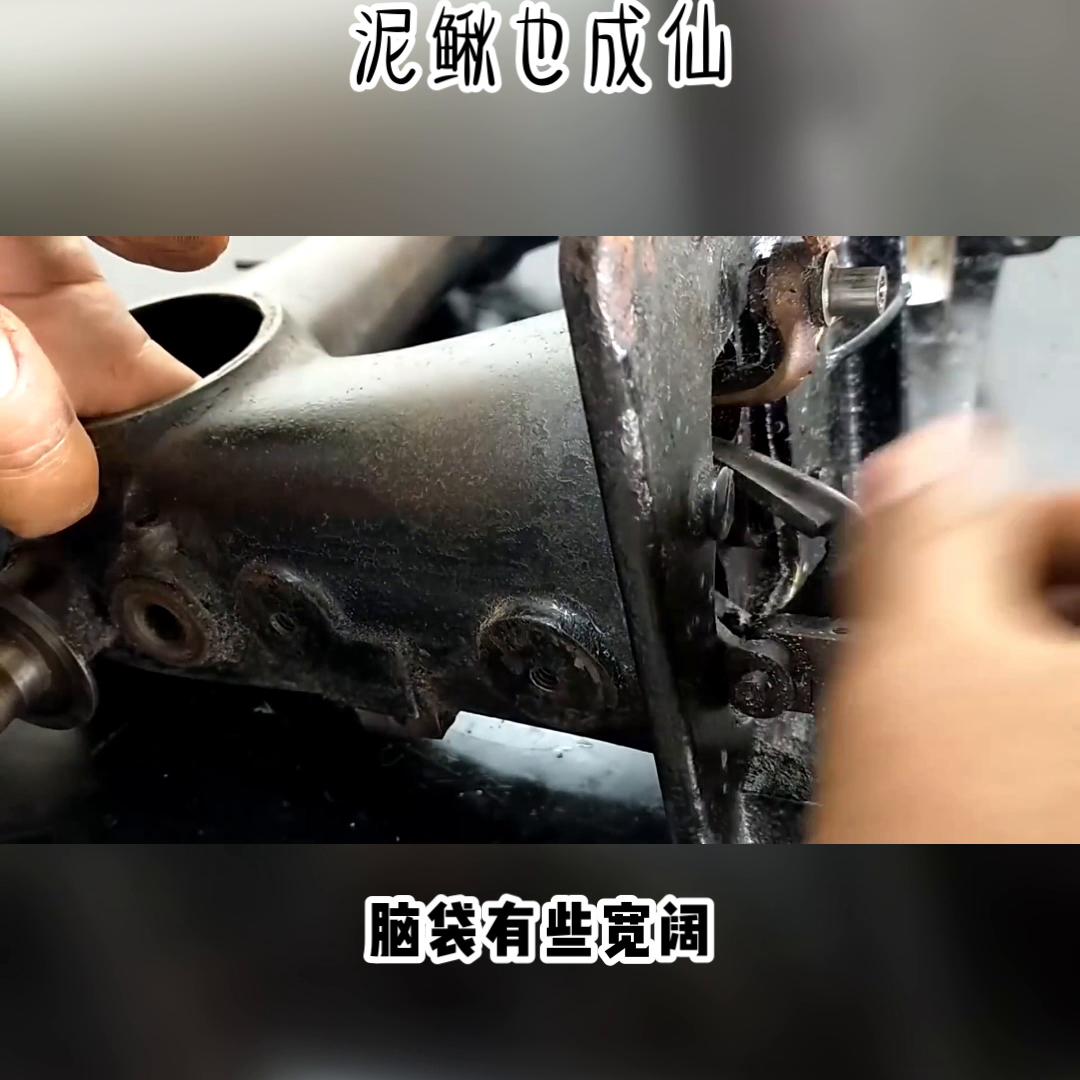 泥鳅也成仙#宝藏小说