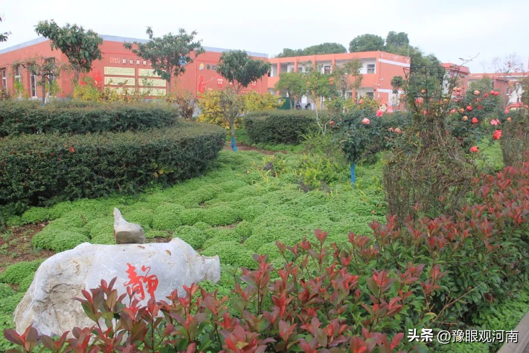 河南省邓州市2019均衡教育,南阳市义务教育基本均衡