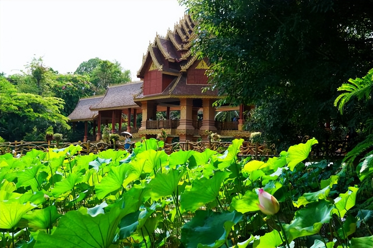 云南西双版纳曼听公园有泰国韵味,西双版纳曼听傣族村寨风景