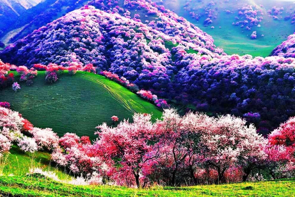 火了！新源又火了！全国瞩目，未来发展不可估量！为你的家乡比心