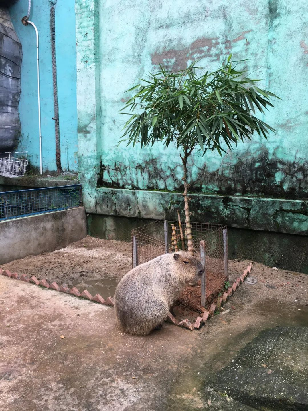 旭光电动车行,旭光车行向阳路