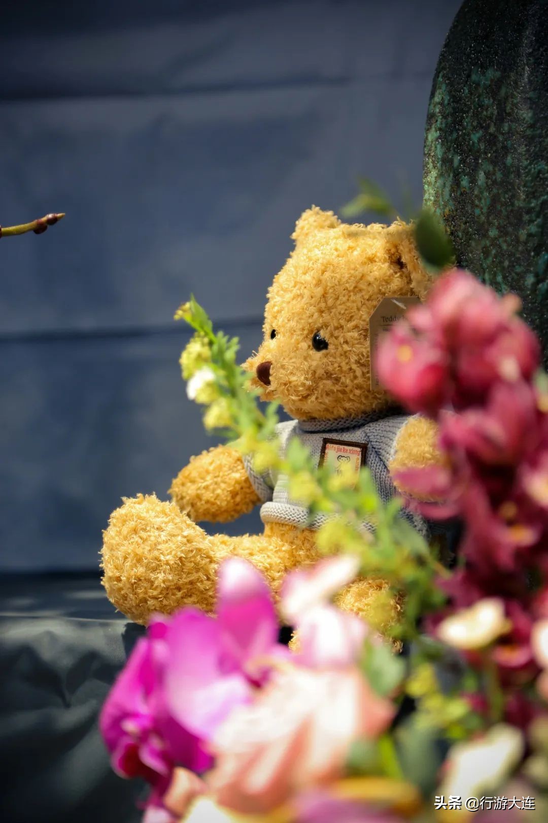 大连花市哪里最好玩,大连的花市有哪些