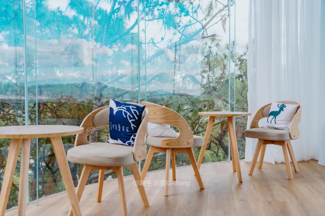 神仙树图书馆,神仙图书馆图片