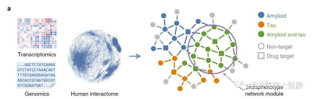 有延缓老年痴呆的药吗,一种意想不到的药物