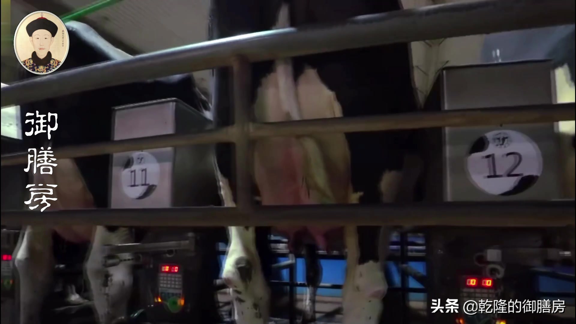 全世界牛奶品牌排名,全球最大的牛奶出口国