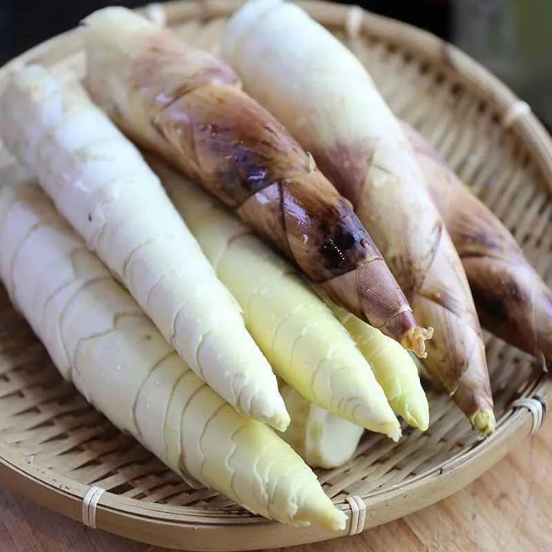 哪里的冬笋特别好吃,新鲜冬笋人间至味鲜美无比