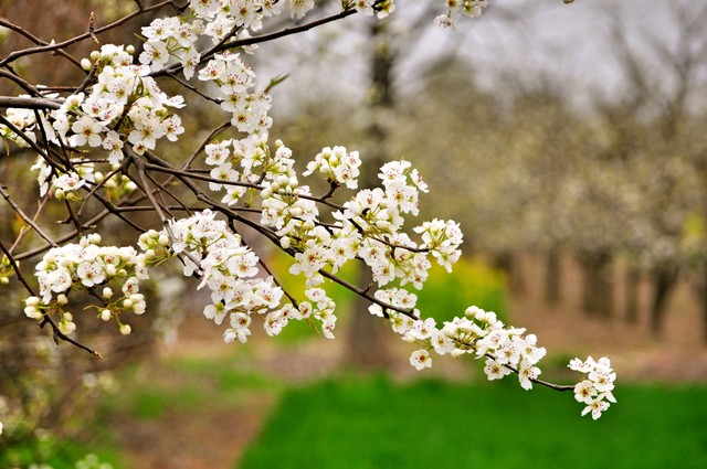 河南宁陵县小县城家庭月入1.5w什么水平？