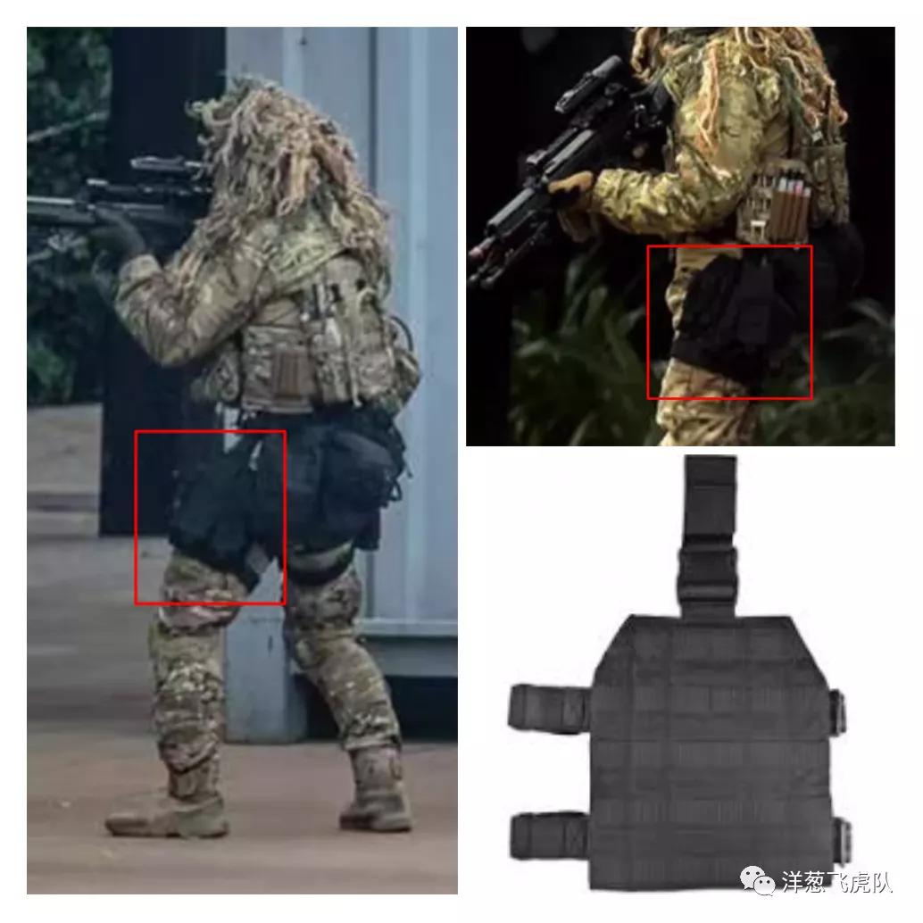 虎年说虎科普视频,虎年说虎运用了哪些说明方法