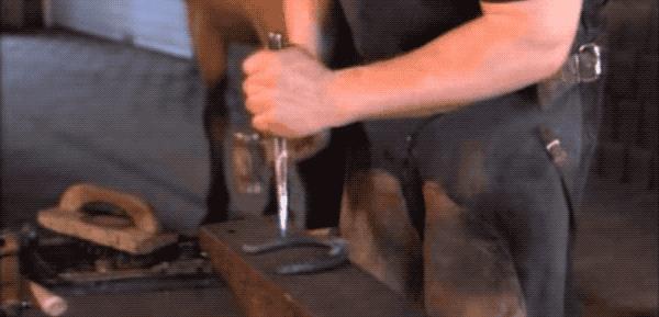 马为什么要钉马蹄铁,给马钉马蹄铁的视频