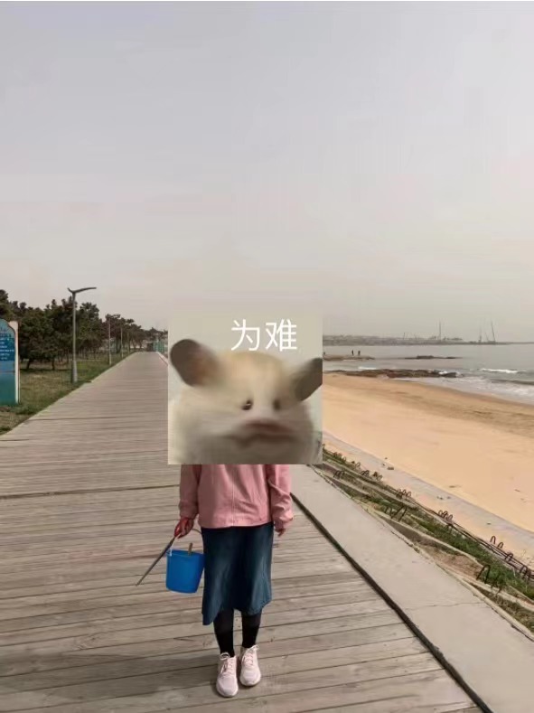 拍立得相机初学,拍立得相机拍摄教学视频