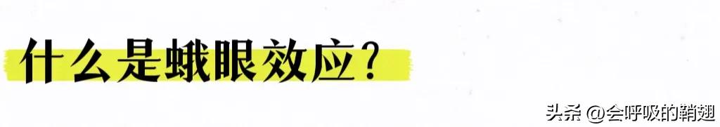 蛾类图谱,蛾类昆虫图谱