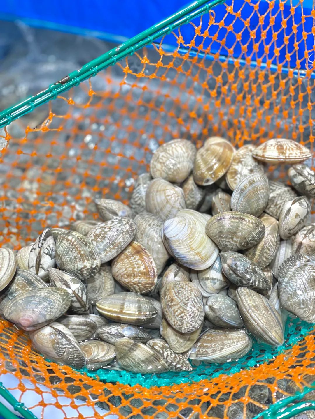 七鲜超市天津滨江购物中心店,七鲜超市天津必买