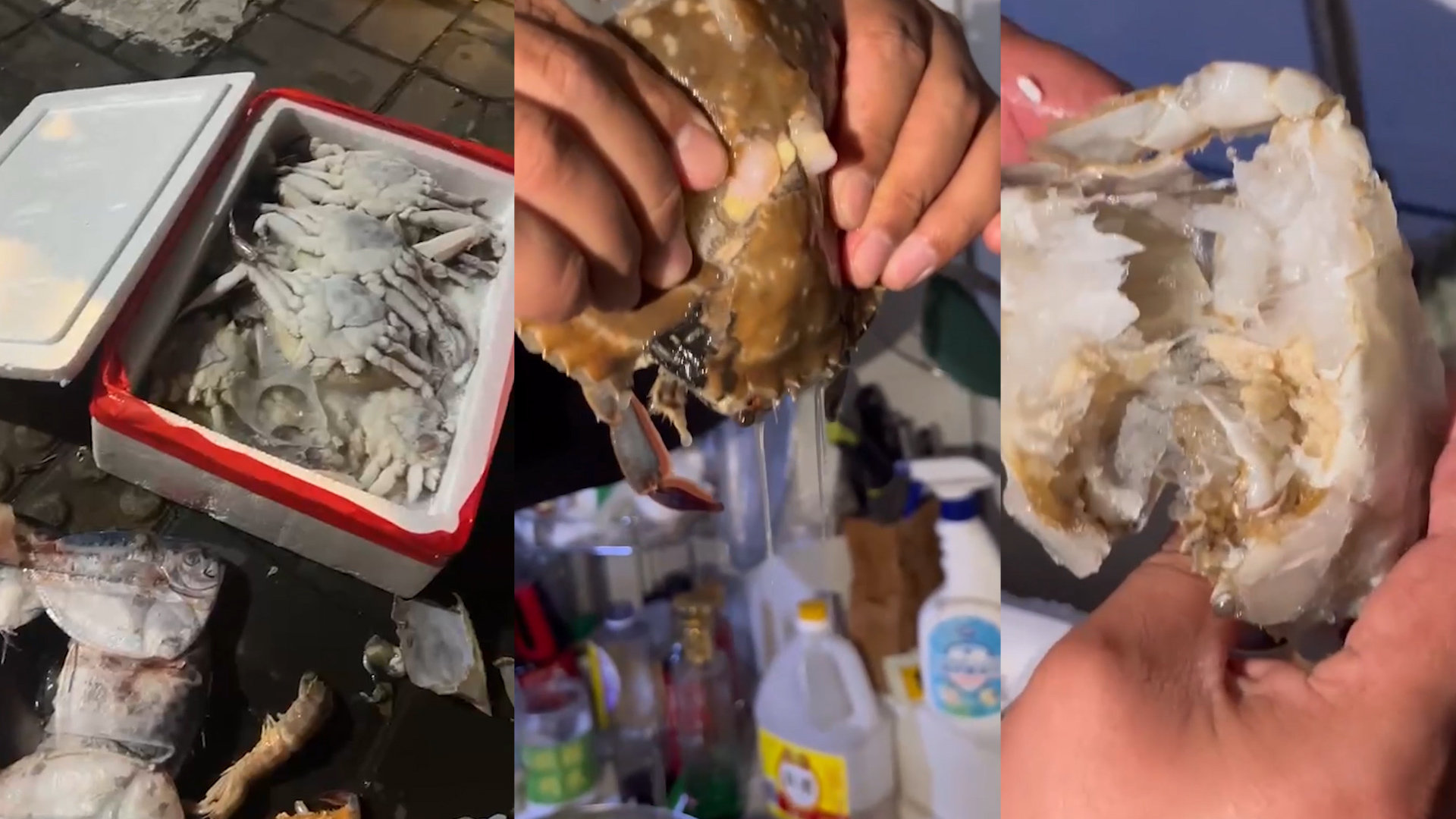 男子买4箱螃蟹发现全是空壳,男子花400元买海鲜没有肉全是空壳